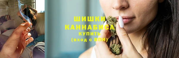 мдпв Волосово