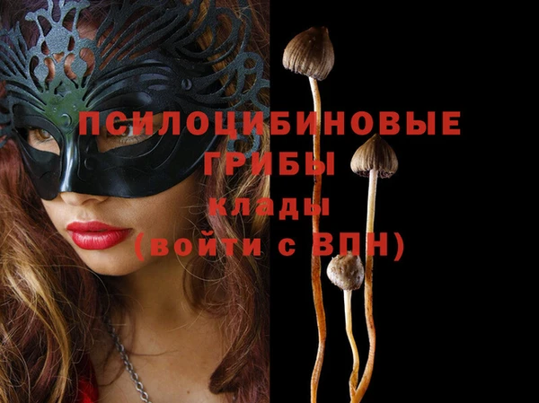 мдпв Волосово