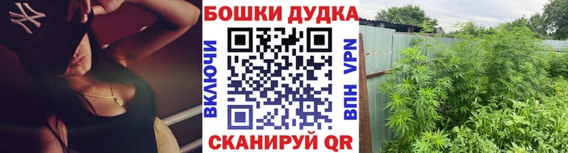 Конопля Amnesia  Малаховка 